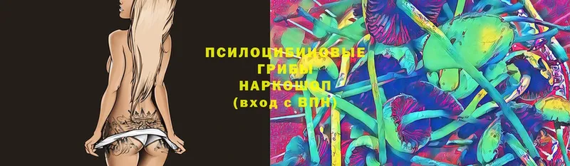 нарко площадка официальный сайт  Дивногорск  Галлюциногенные грибы Psilocybe 